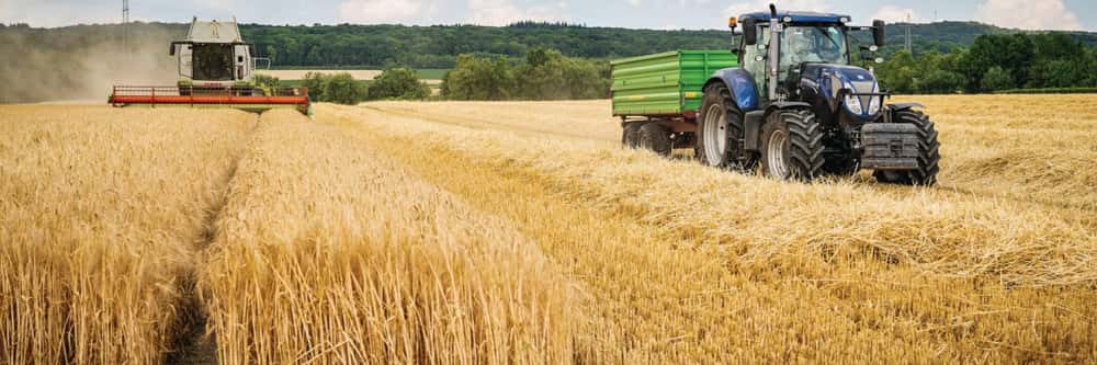 Mähdrescher und Traktor ernten ein Getreidefeld
